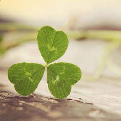 博鱼·体育登录入口